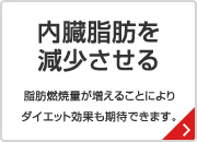 内臓脂肪を減少させる 脂肪燃焼量が増えることによりダイエット効果も期待できます。